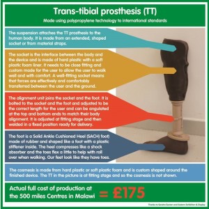 Trans-tibial prothesis